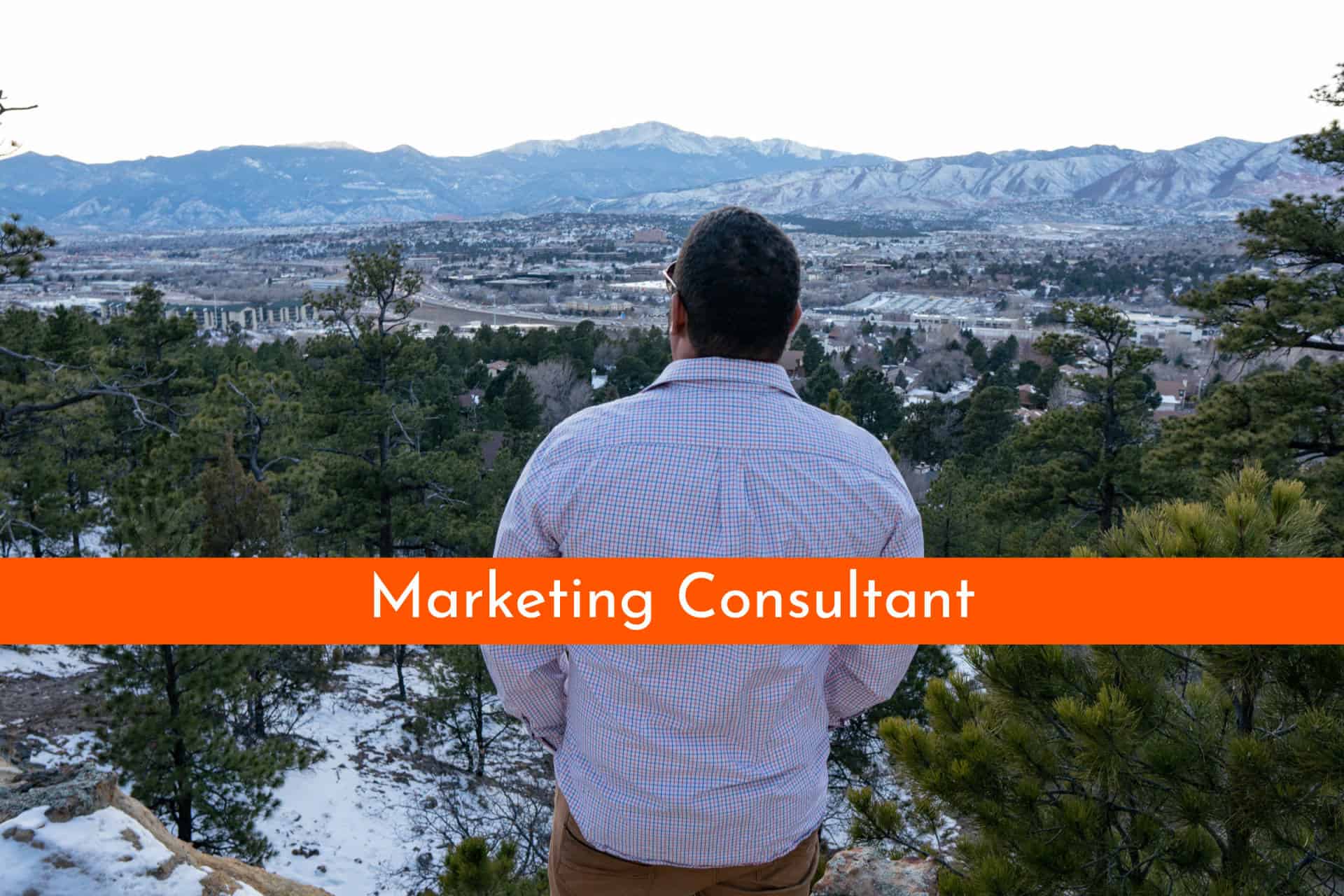 Expert Marketing Consultant Services JavaLogix