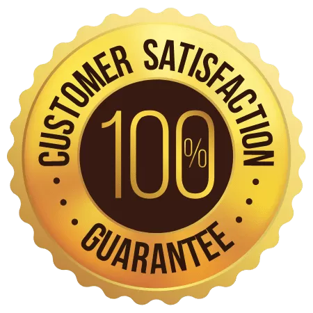 Gold and black seal with text "WordPress Speed Optimization Service 100% guarantee" encircled by a star pattern on a green background.