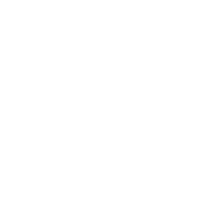 A white screen with a cloud icon representing WordPress speed optimization.