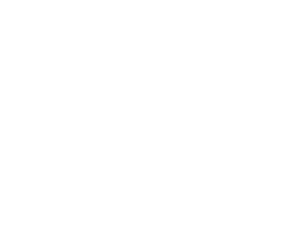 Portfolio BE Logo