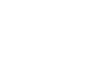Portfolio BP Logo