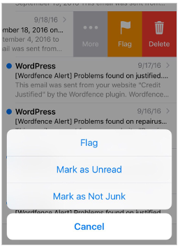 Screenshot of iPhone mail not junk screen