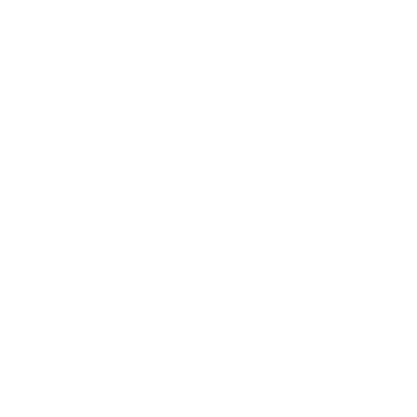 clear sky solar white logo