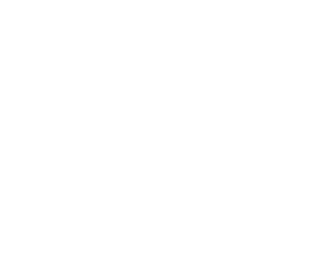 Vault42.png