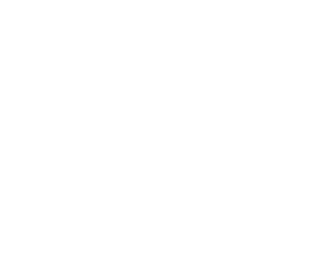 Vault42.png
